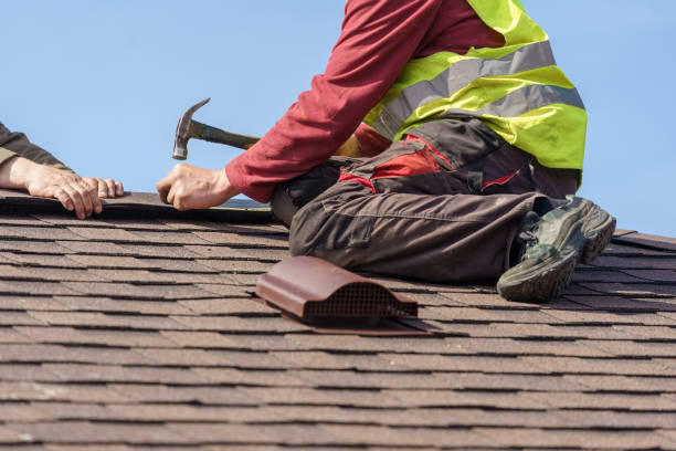 Best Roof Gutter Cleaning  in Old Tappan, NJ